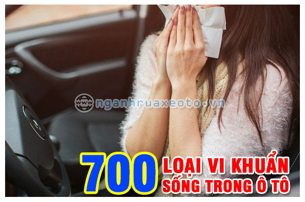 rửa xe bằng hơi nước nóng siêu diệt khuẩn