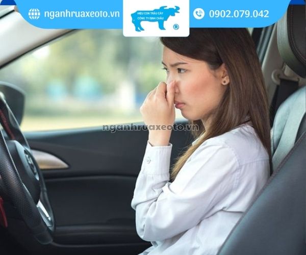 Cách khử mùi hôi xe ô tô hiệu quả