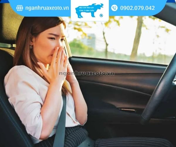 Các nguyên nhân khiến xe ô tô có mùi