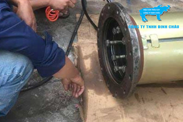 Thường xuyên kiểm tra và bảo trì cầu nâng