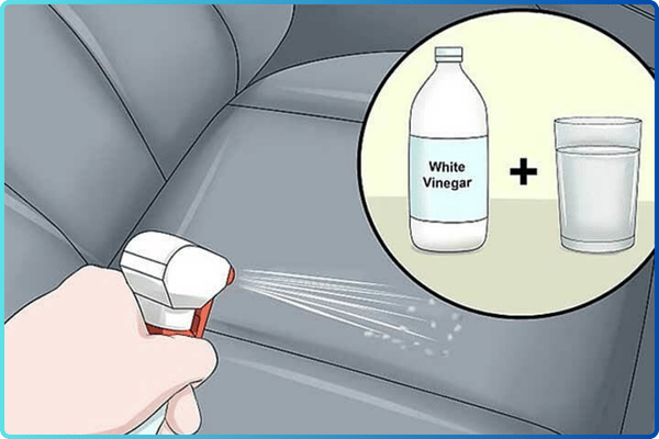 sử dụng giấm trắng để khử mùi da trên xe ô tô mới