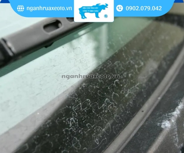 Sử dụng nước thường vệ sinh kính có thể hình thành cặn khoáng làm mờ kính