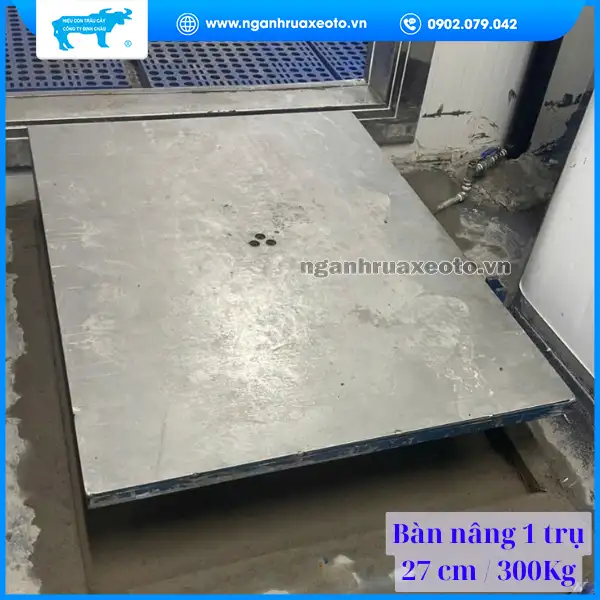 Bàn nâng 1 trụ / nâng hàng hóa 27cm 300Kg