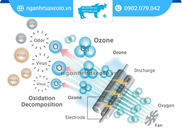 Công nghệ khử mùi bằng Ozone được đánh giá an toàn và hiệu quả