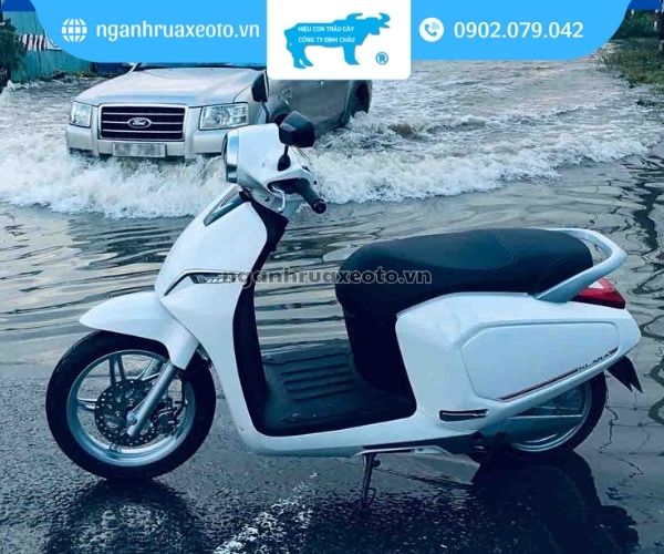 Các lưu ý trước khi rửa xe máy điện tại nhà an toàn