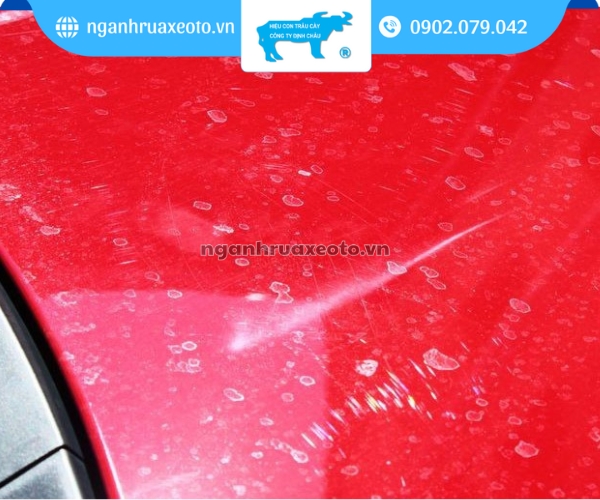 Nên duy trì đánh bóng sơn xe ô tô định kỳ để giữ nguyên chất lượng và tuổi thọ xe
