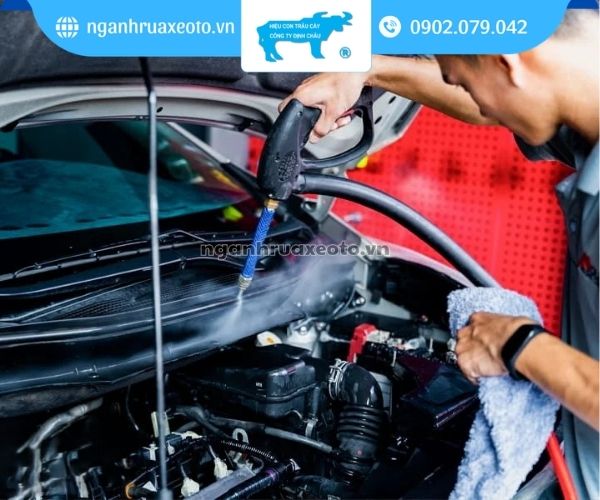 Các ưu điểm và nhược điểm khi vệ sinh bằng hơi nước nóng